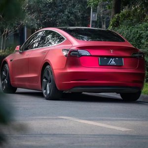 美女桶男人的机机
